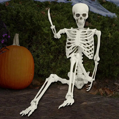 5.4FT Poseable Skeleton
