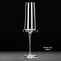 Modern Sleek Crystal Champagne Flutes 2 Styles Hand wash