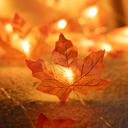 Fall/Thanksgiving Pumpkin Maple Leaf String Lights
